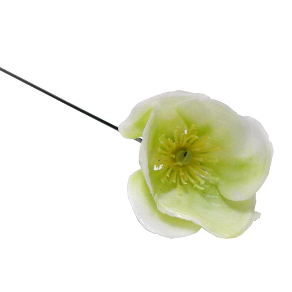 Old Fashioned Christmas Rose Pick