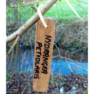 Teak Hanging Tag - Wooden