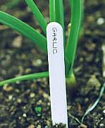 Plant Labels & Markers