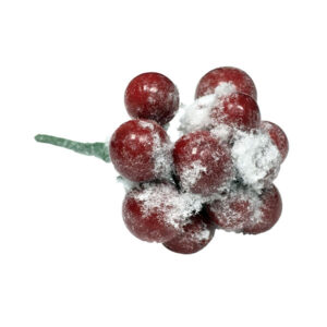 Snow Covered Christmas Berry Pick