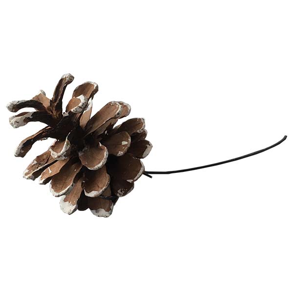 Pine COne on a wire - snow effect