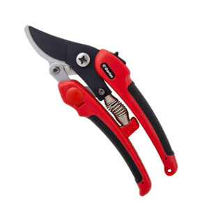 Compound Pruners