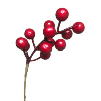 Large Red Berry Spray